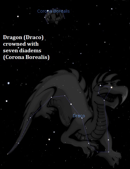 Draco the dragon