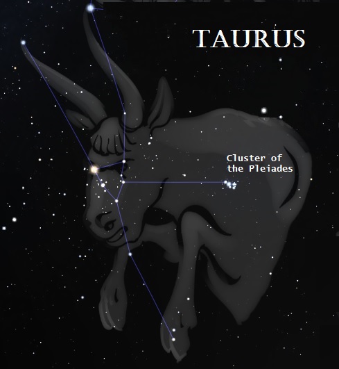 Taurus and the cluster of the Pleiades