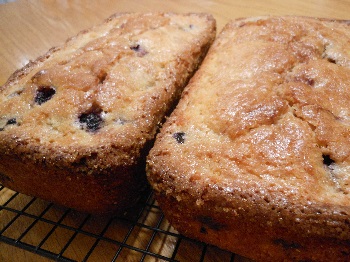 Blueberry Lemon Bread