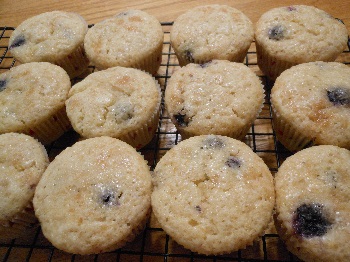 blueberry muffins