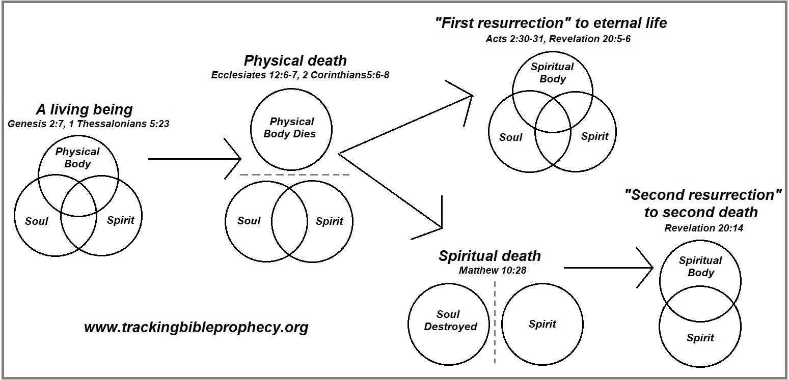 death and resurrection