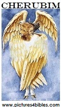 cherubim