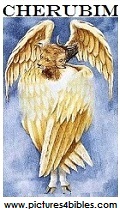 cherubim