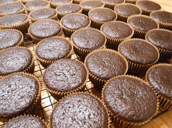 Chocolate Cupcakes