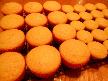 Corn Muffins