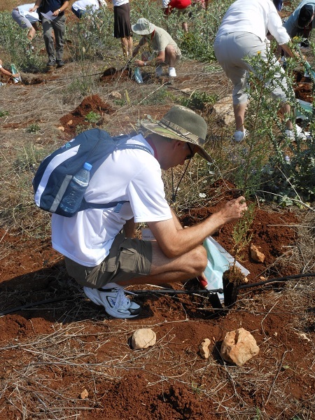 Tree planting