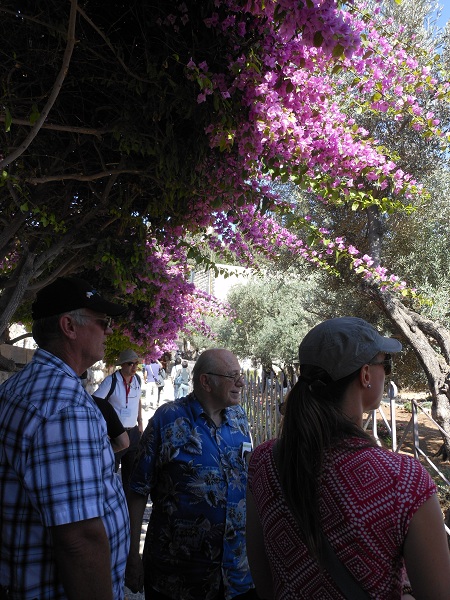 Garden of Gethsemane