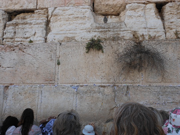 Wailing Wall