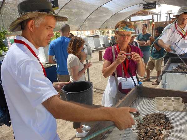 Temple Mount Excavation