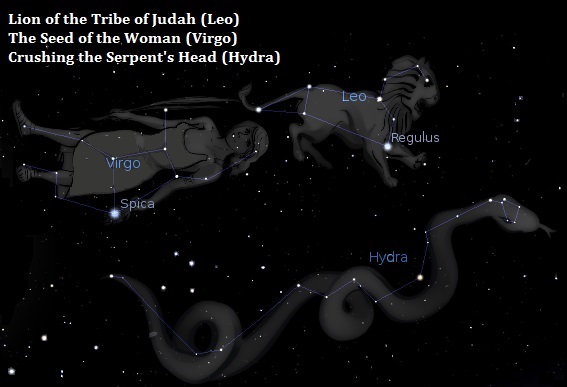 Leo Virgo Hydra