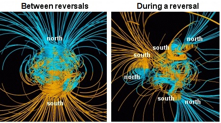 Polar reverse simulation